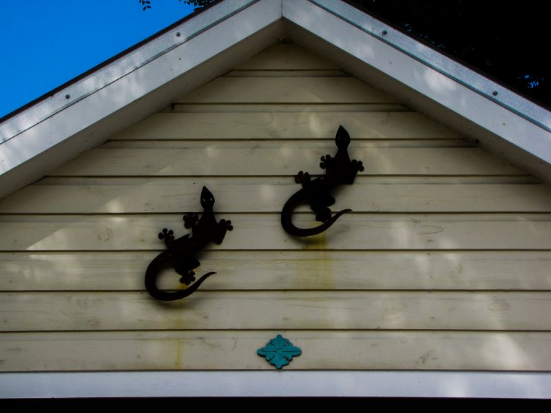 Shiplap Cladding Installation