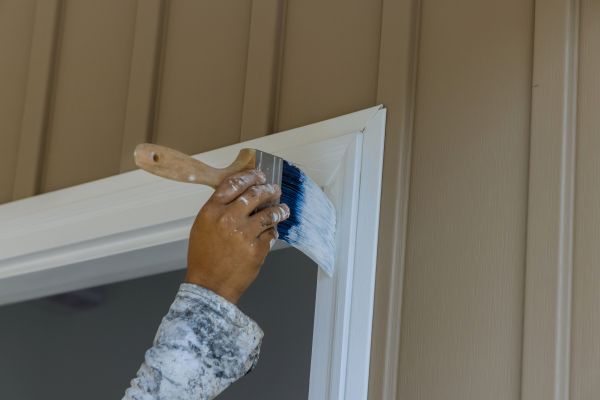 Door Molding Replacement in Ames